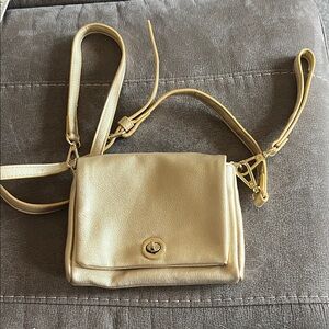 Chic Gold Crossbody Bag